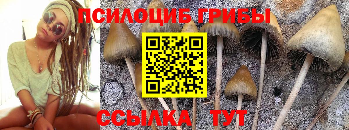 Галлюциногенные грибы мухоморы Усолье-Сибирское